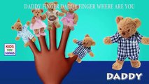 Teddy Bear Finger Family Cartoon Songs | Teddy Bear Cartoon Animation Children Nursery Rhymes