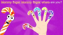 Candy Cane and Peppermint Sticks Finger Family Nursery Rhymes Lyrics