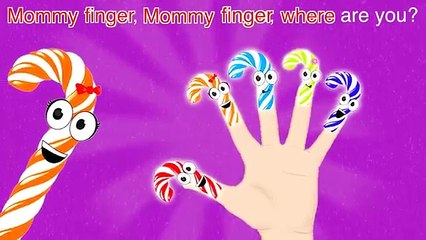 Candy Cane and Peppermint Sticks Finger Family Nursery Rhymes Lyrics