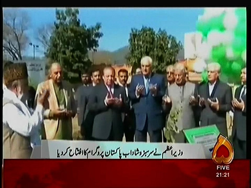 pm green pak