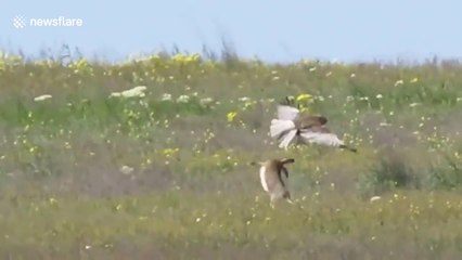 Bazen kaçmak çözüm olmaz mücadele etmek gerekir