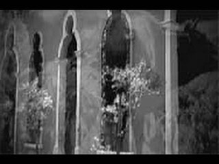 El Palacio de las Vacas, parte 2