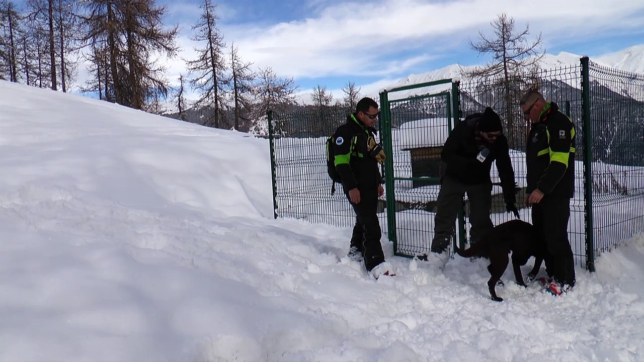D!CI TV : Eric, pisteur maître-chien, veille au grain sur les pistes de Serre Chevalier