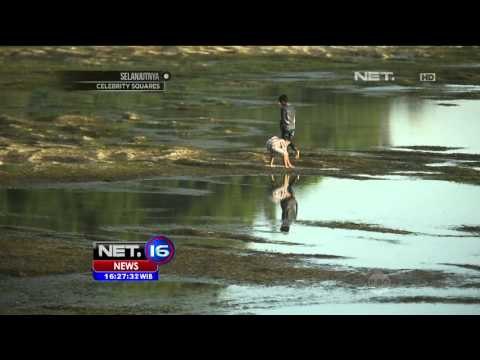 Promo Indonesia Bagus Bau Nyale Lombok - NEt16