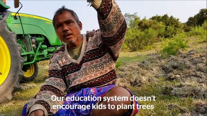 AH 38 anos esse homem  planta árvores na mesma área veja  o que ele criou