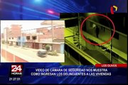Cámaras captan a delincuentes en pleno robo a vivienda en Los Olivos
