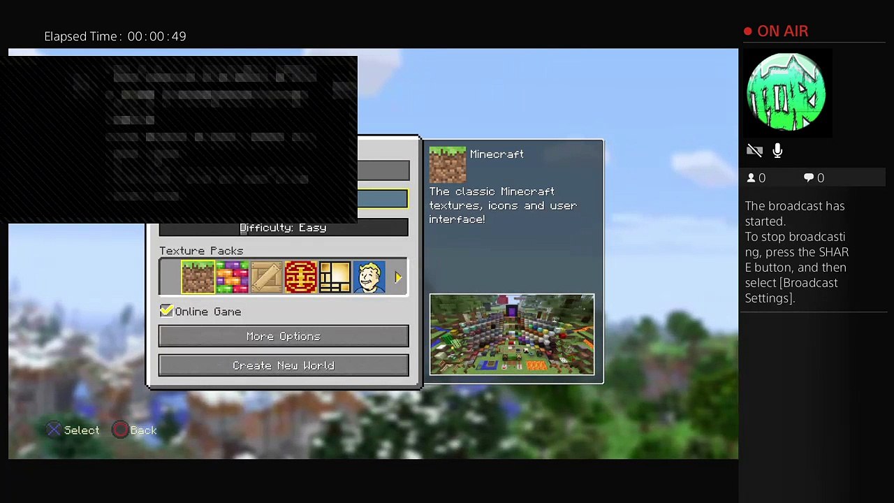 minecraft (21)
