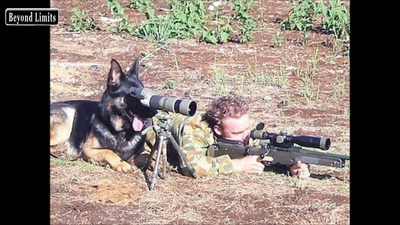 Meanwhile In The Army - Funniest Moments