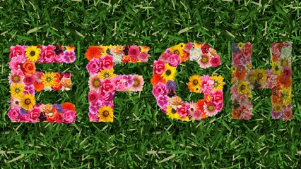 ABC Song | Alphabet Song | A to Z | Flowers | Nursery Rhymes for Children from HappyRhymes