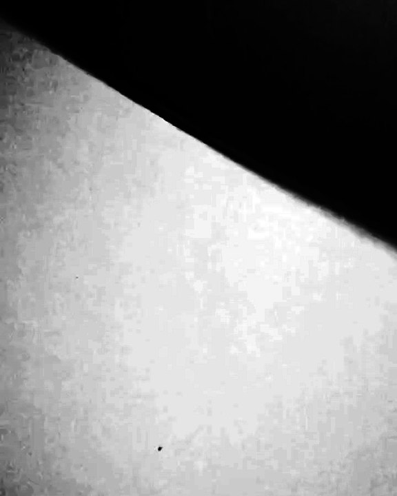 video graciosos