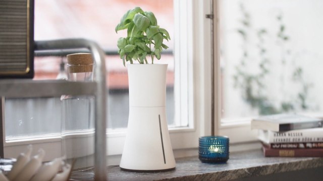 This gadget is perfect for those who struggle to keep plants alive