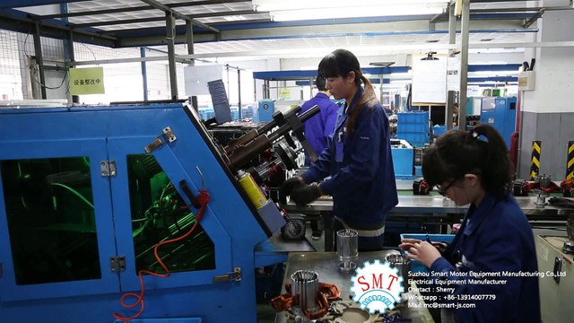 Single Phase Induction Motor Stator Coil Winding Inserting Machine