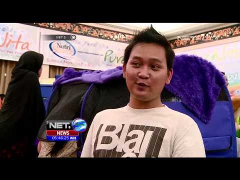 Ratusan Kucing Ramaikan Acara Kontes Kucing - NET5