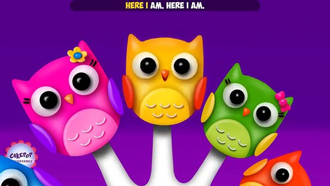 The Finger Family Owl Family Nursery Rhyme | Owl Finger Family Songs