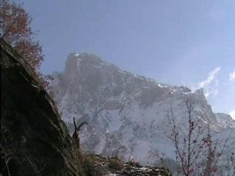 Bouquetin a Saint Julien Montdenis