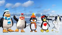 Penguins Finger Family Nursery Rhymes For Kids | Popular 3d Animated Nursery Rhymes For Kids