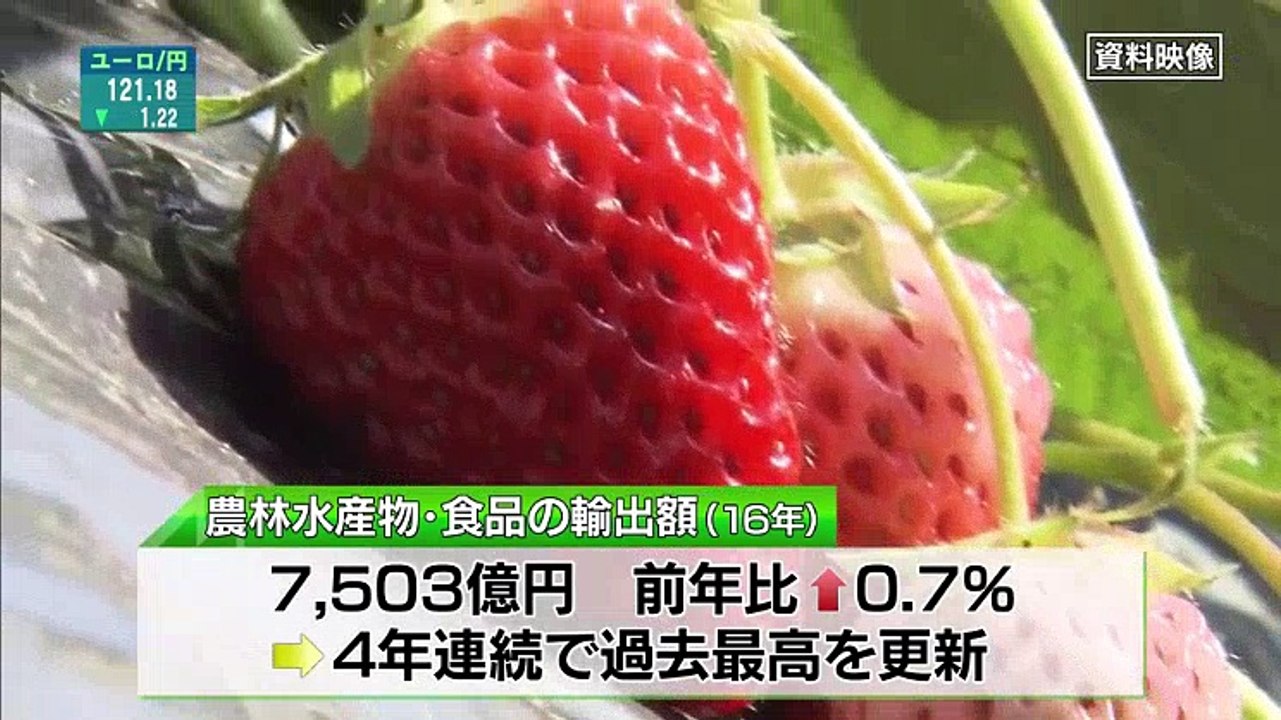 Mプラス 11 - 17.02.10