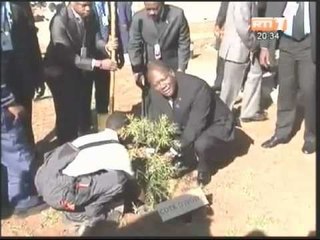 18ème Sommet des chefs d'État: Ouattara a planté un arbre avant le debut de la réunion