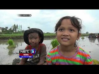 Belajar Bercocok Tanam di Sekolah Alam - NET5