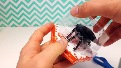 Creepy Bug Robot and Cat Reaction