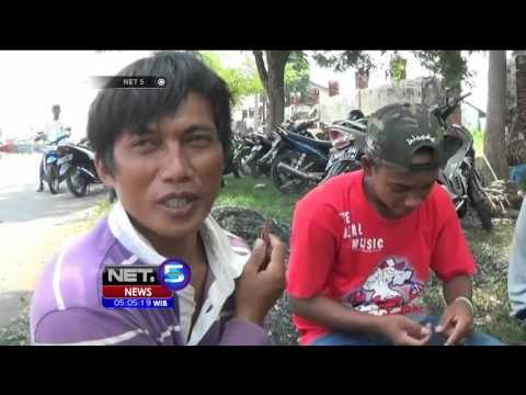 Hasil Tangkapan Ikan di Probolinggo Menurun Drastis - NET5