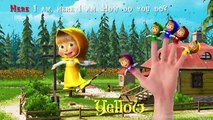 Masha and the Bear Finger Family Nursery Rhymes Songs - Masha Learning Colors for Children