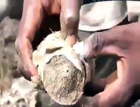 Çölün ortasında, kupkuru toprağın içinde balık olur mu? Allah dilerse oluyormuş! İzlerken dehşete düşeceksiniz!!!...