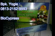 0813-2152-9993 (Bpk.Yogie), Ramuan Herbal Ajaib BioCypress, Jakarta