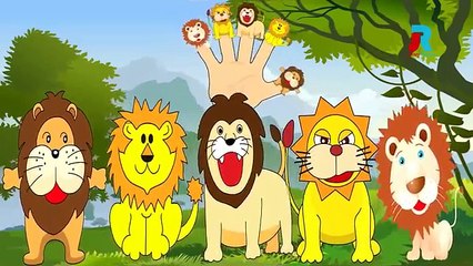 Lion vs Cow Finger Family | Finger Family Song | Cartoon Animation Finger Family Rhymes