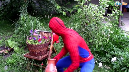 Frozen Elsa & Spiderman & Superhero Hair Dresser w/ Maleficent, Pink Spidergirl, Batman vs Deadpool