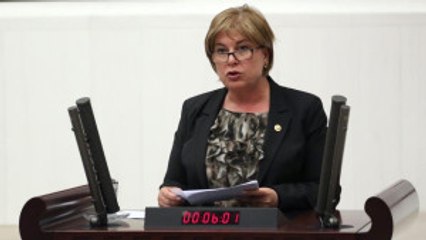 CHP'li Elif Doğan Türkmen, Leyla Zana'nın Odasını İstedi; Onay Çıkmadı
