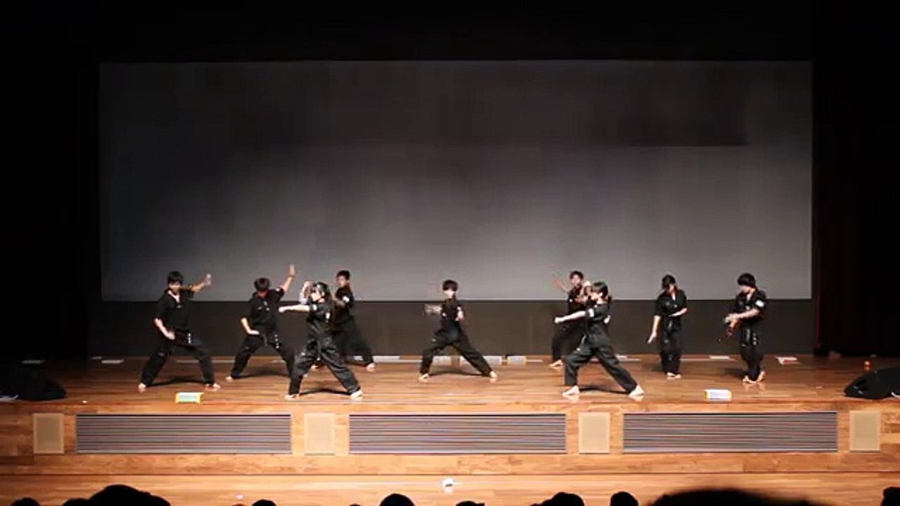 taekwon performance