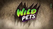 Cobi | Wild Pets | Pająki i Skorpiony | TV Toys