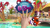 Littlest Pet Shop new Finger Family | Nursery Rhyme for Children | 4K Video