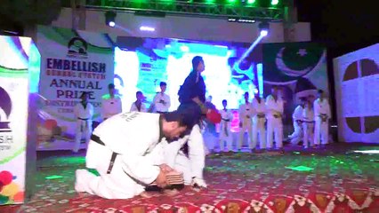 Embellish School System Annual Prize Distribution Ceremony (Taekwondo) 2016
