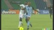 CAN 2012/Ghana- Botswana (1-0) Expulsion du captaine Ghanéen Jhon Mensa