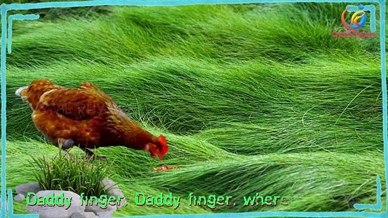 Семейная курочка палец 3D анимированные nursery детей английские стишки