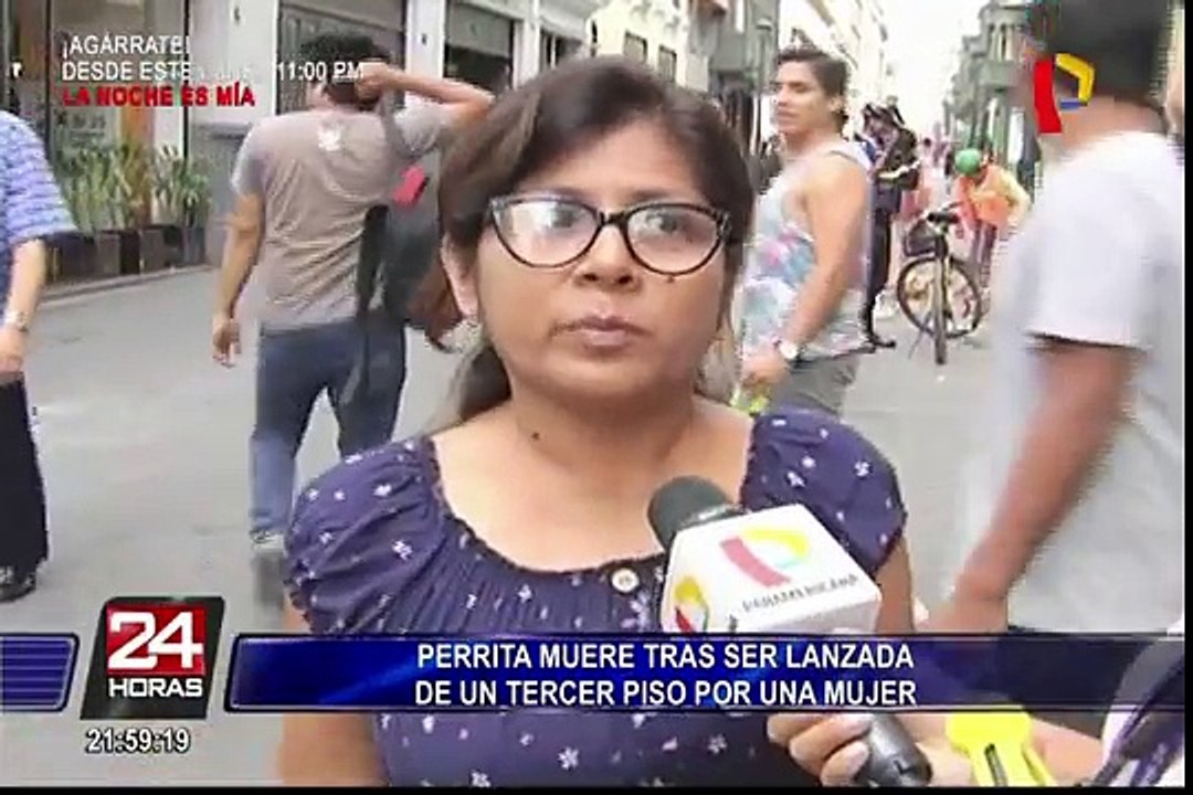 Cercado de Lima: perrita muerte tras ser lanzada de tercer piso de una vivienda