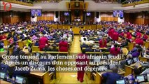 Afrique du Sud : une violente bagarre générale éclate au Parlement