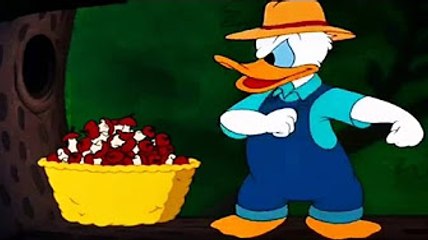 The Best Funny Cartoon, Donald Duck & Chip and Dale Cartoons - Pluto Dog, Mickey Minnie P5