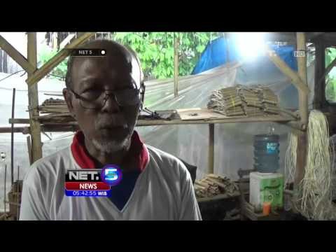 Puluhan Anak anak Berwisata Edukasi Dengan Bermain Dan Membuat Angklung - NET5