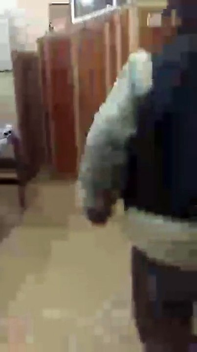 Dhamal by Ali Raza Shahid