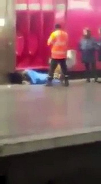 Un agent RATP utilise son chien pour réveiller un SDF