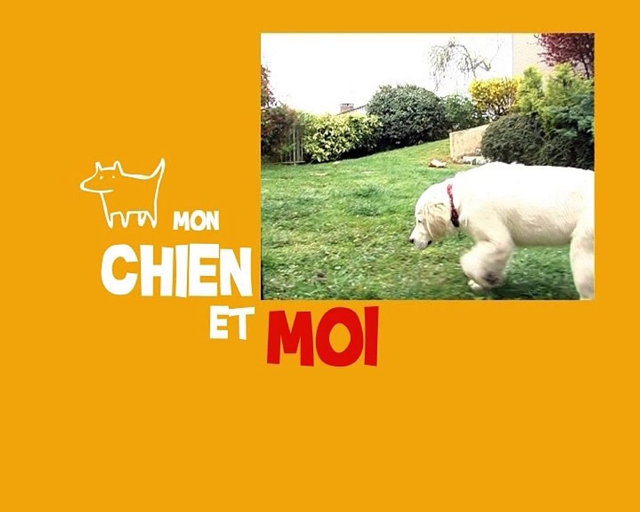Entre chien et nous