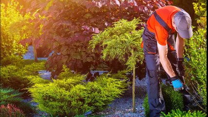 4 Seasons Groundskeepers - (505) 448-9763