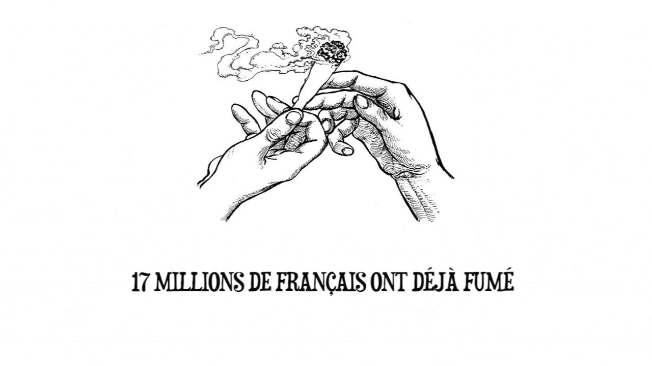Le cannabis et sa législation pour les nuls (2017) (FR)