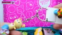 Doki Doki by Japan Crate Kawaii Subscription Box Studio Ghibli Surprise Egg and Toy Collector SETC