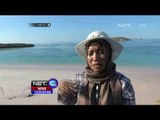 Eksotisnya Pantai Pink di Nusa Tenggara Barat - NET12