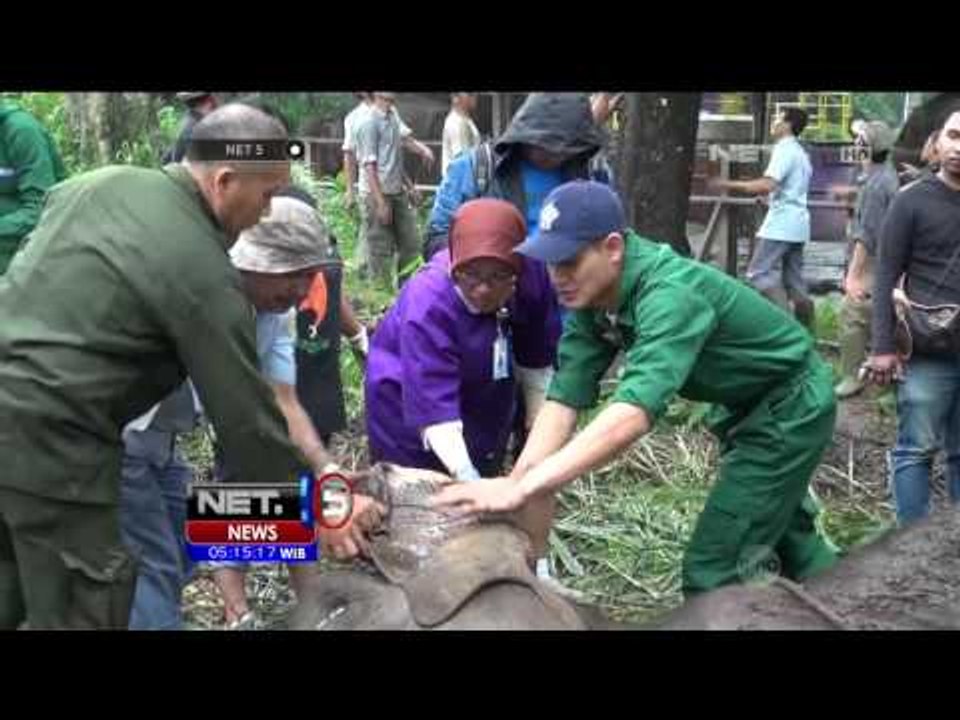 Ribuan Pengunjung Mendatangi Kebun Binatang Bandung - NET5
