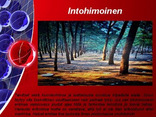 Vinkkejä tulla Luontokuvaaja - Tony Henrik Halttunen